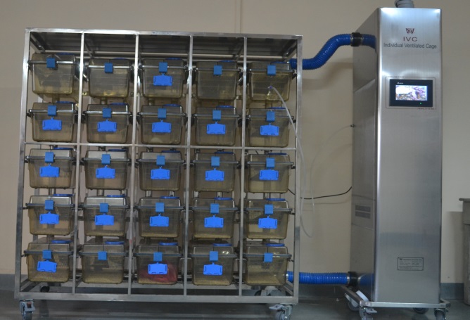 10. IVC Facility  For Lab. Animals